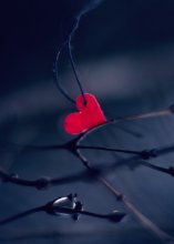 heart-shaped feelings / ......