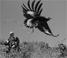 Воспитание полетом / Еще одна казахская забава - охота с беркутами.
