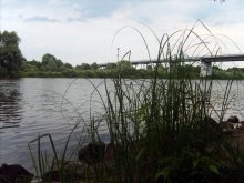 река Березина / родная река Березина