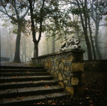 &nbsp; / Осень,туман,тихий парк,спящий лев.