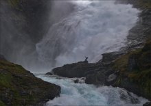 укрощение воды / водопад Кьёсфоссен, Норверия, июнь , 2009.