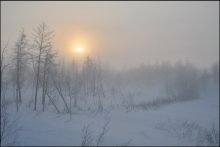 -40 однако! / Таймыр Зима