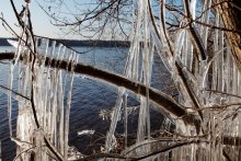 хрустальный берег / эффект от сочетания первых морозов и сильного ветра.
Учинское водохранилище. Ноябрь 2009.