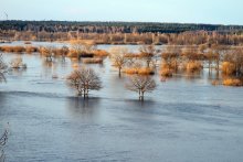 Заливные луга. / Есть такая река в Бобруйске