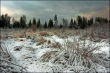Зима пришла негаданно,нежданно... / Зима в России приходит так же внезапно,как и уходит...Всё стянуло белой пеленой.И кажется - даже сама Природа не была готова встретиться с Зимой...
Зима,снег,природа,пейзаж.