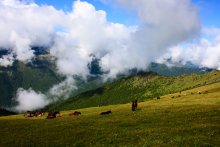 На перевале / Перевал Каратюрек , Алтай