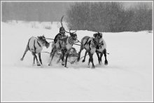 Упряжка / Снежило