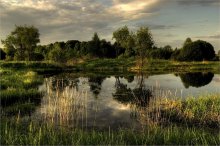 Колыбельная Весне / пейзаж