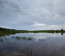 ИЮНЬСКАЯ ВЕЧЕРНЯЯ / Тихий июньский вечер, детвора разошлась по домам, и только лягушки квакают, и лёгкая прохлада