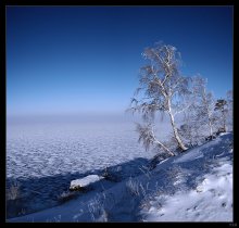 Над обрывом / Волга, Самарская обл. февраль 2007г.