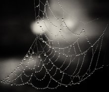 Ловцы снов II (Ожерелье) / Боюсь пауков