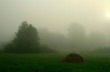 Сквозь туман / туманное утро