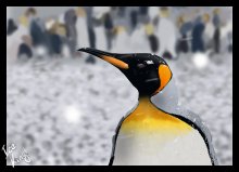 Ice King / Королевский пингвин. Рисовалось все с нуля в фотошопе, без фотомонтажа.