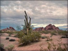 горы Папага / Papago Park, Phoenix, Arizona, USA
самы цэнтар горада Фенікса, зрэшты...