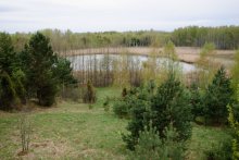 Лесное озеро / Лесное озеро в Нарочанском крае
