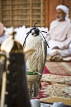 Между двух "огней" / Heritage Village, Dubai, Boat Show, UAE