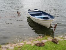 У воды... / Тракайские зарисовки.
