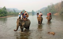Караван / Снимок сделан в апреле 2010 года на реке Нам Кхан в Лаосе. Здесь находится деревня Ксиенг Лом, что в 25 км. от г.Луанг-Прабанг. Сюда приезжают туристы, чтобы покататься на слонах.