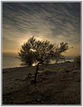 Утро... / Мертвое море