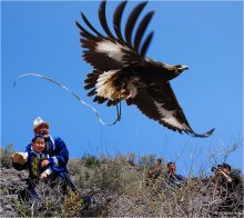 Воспитание полётом / Беркутчи - охотники с ловчими птицами.
