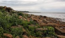 Берег / Прогулка по Петергофу