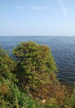 Ладога / август 2010 Ленинградская область