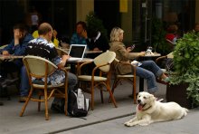 Люди, собака и высокие технологии / Кафе в Вильнюсе. Начало сентября 2006 года.