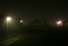 Туман / ***