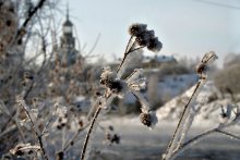 Зима пришла... / ***