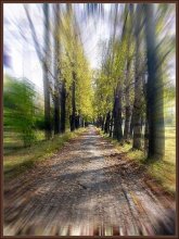 Дорога в осень / ***