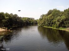 Река Псёл. / г. Сумы. Украина.