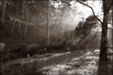 О.И.Романцев на тренировке Спартака. / Наткнулся тут на свою прошлогоднюю фотографию и почему-то вспомнил старый анекдот. Хотел её назвать Ленин в Разливе но побоялся обвинений в плагиате:) 
О чем это я? Ах да - Спартак - чемпион!