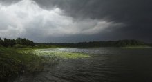 Перед грозой / налетел шквалистый ветер, когла он притих удалось сделать несколько снимков (один из них представляю), потом хлынул ливень и началась гроза как завершение  знойного летнего дня (время снимка 20.49). оз. Отолово.