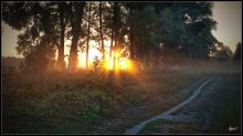 ра / утренняя прогулка от палатки в туман и обратно(Черниговская область 5.35)