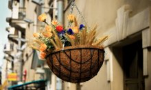Basket of flowers / Minsk | Leningradskaya Street