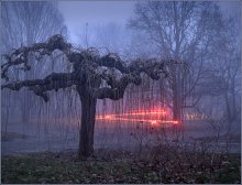 Вечерние изгибы / Evening bends