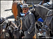 A Man from Wiena / Кочијаш са Бечких улица. Horse car driver from Wiena.