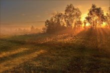 Луч солнца золотой... / Созерцание красоты мироздания