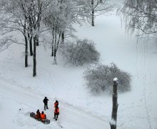 Снегири / скоро зима...)))