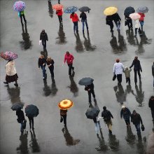 Дождливый день / Конец сентября. Дождь идет.