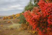 последние краски / ******