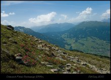 Sechszeiger - 4 / Австрия, долина Пицталь, гора зехцайгер 2395 м над уровнем моря. Июль 2010г.