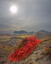 осень Киммерии / Осень надела свадебный наряд,
Поля и склоны цветом украшая...