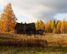 Татьянин дом / Старый дом на отшибе