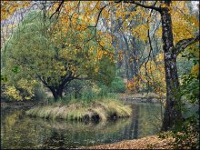 Осень в парке / Осень в дендропарке Екатеринбурга