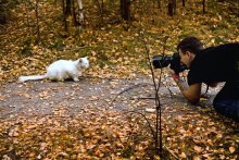 Кикс-кис-кис, скажи мне - &quot;Чи-и-и-из&quot; или &quot;Ты сними, сними меня фотограф №2&quot; / Осень 2010