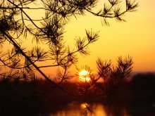 МАЙский ЗАКАТ / река Комёла