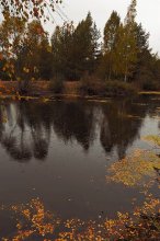 Плакали  березы / осень однако