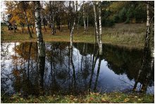 Пасмурным днём / Осень.