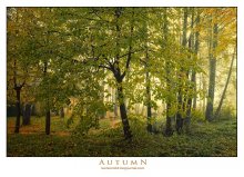 Autumn. / Осень в городском парке.Дубна Московской области.
